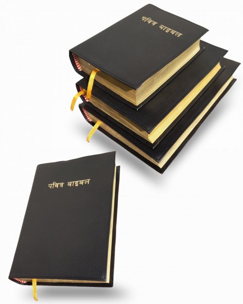 Holy Bible Nepali Golden Edge Medium