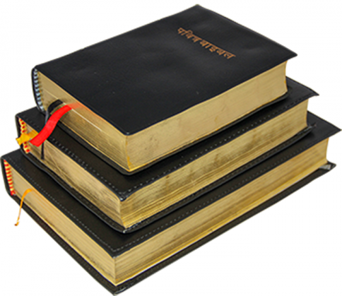 Holy Bible Nepali Golden Edge Large